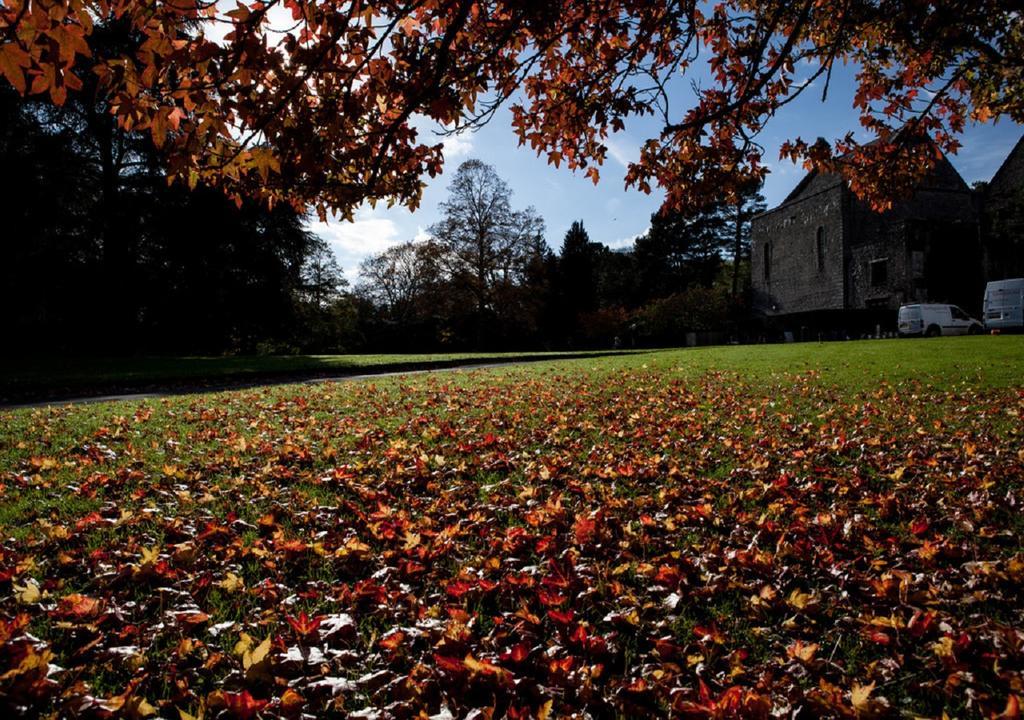 Dartington Hall Тотнес Экстерьер фото
